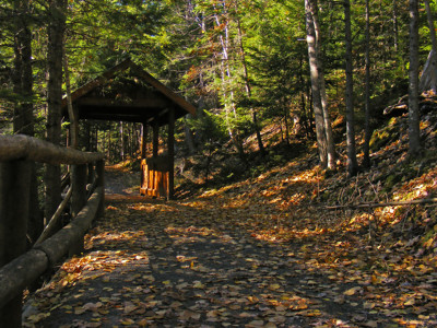Click here to view at full resolution.
