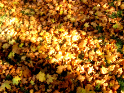 Click here to view at full resolution.