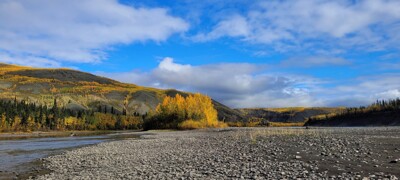 Click here to view at full resolution.