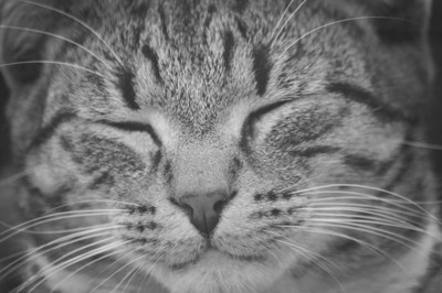 Click here to view at full resolution.