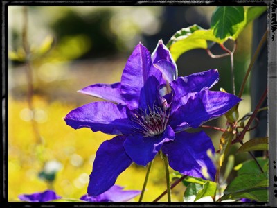 Click here to view at full resolution.