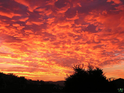 Click here to view at full resolution.