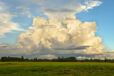 Click here to view at full resolution.