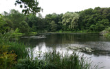 Reed Pond by Tomeast, Photography->Nature gallery