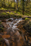 Just a Trickle by biffobear, photography->landscape gallery