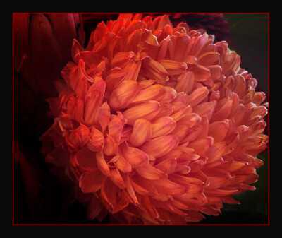 Click here to view at full resolution.