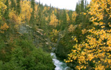 Canyon Creek by PamParson, Photography->Landscape gallery