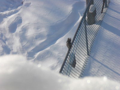 Click here to view at full resolution.