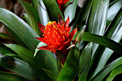 Click here to view at full resolution.