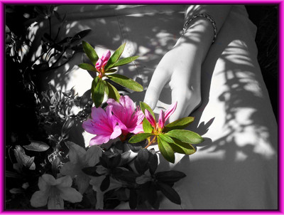 Click here to view at full resolution.