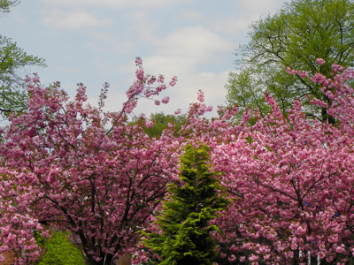 Click here to view at full resolution.