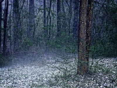 Click here to view at full resolution.