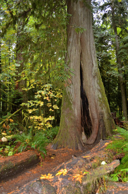 Click here to view at full resolution.
