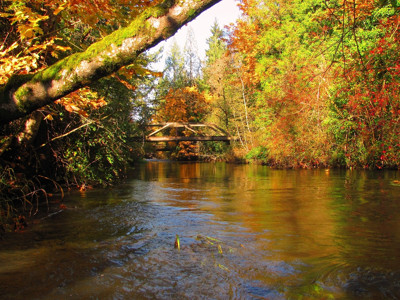 Click here to view at full resolution.