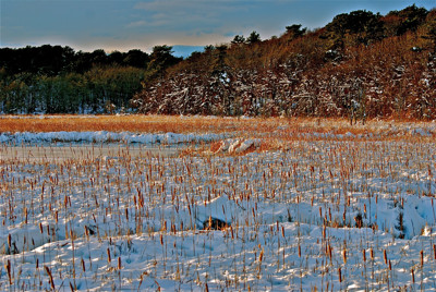Click here to view at full resolution.