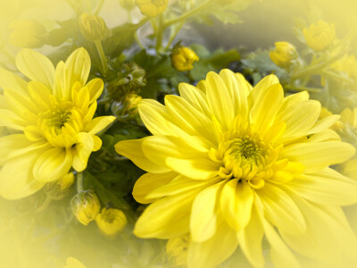 Click here to view at full resolution.