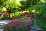 Up and Down by Ramad, photography->gardens gallery