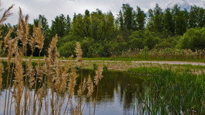 Click here to view at full resolution.