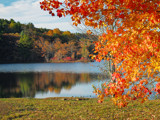 At the Boat Launch by cynlee, photography->shorelines gallery