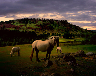 Click here to view at full resolution.