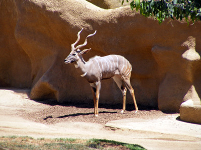 Click here to view at full resolution.