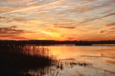 Click here to view at full resolution.