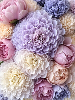 Click here to view at full resolution.