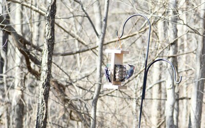 Click here to view at full resolution.