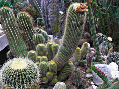 Click here to view at full resolution.