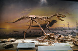 "Gorgosaurus Dinosaur" by icedancer, photography->sculpture gallery