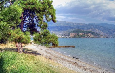 Click here to view at full resolution.