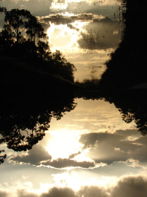 Click here to view at full resolution.