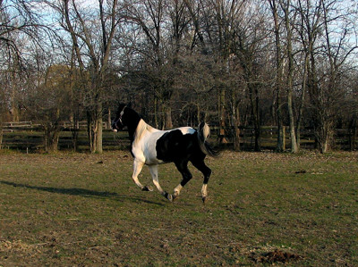 Click here to view at full resolution.