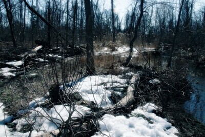 Click here to view at full resolution.