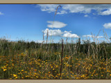 Reach for The Sky by LynEve, Photography->Landscape gallery