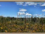 Reach for The Sky by LynEve, Photography->Landscape gallery