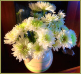 Milk Jug Flowers by LynEve, photography->flowers gallery