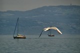 france and switzerland 217 by gaeljet2, Photography->Landscape gallery