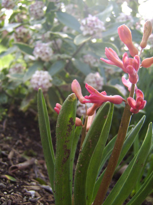 Click here to view at full resolution.