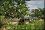 Sauder Village 9,  Down By The Old Mill Stream by Jimbobedsel, Photography->mills gallery