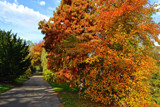 Walk in the Park by Ramad, photography->landscape gallery