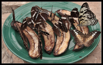 Click here to view at full resolution.