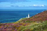 Looking out by biffobear, photography->shorelines gallery