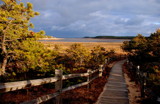 wellfleet landscape by solita17, Photography->Landscape gallery