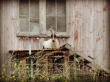 On Monday by Starglow, photography->general gallery