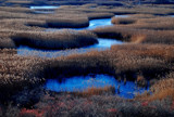 labyrinth by solita17, Photography->Landscape gallery