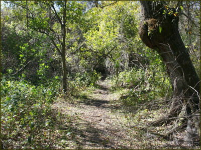 Click here to view at full resolution.