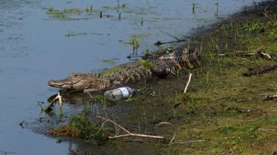 Click here to view at full resolution.