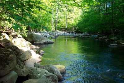 Click here to view at full resolution.