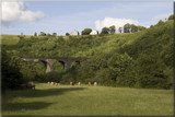 back at the Dale... by fogz, Photography->Landscape gallery back at the Dale... by fogz, Photography->Landscape gallery